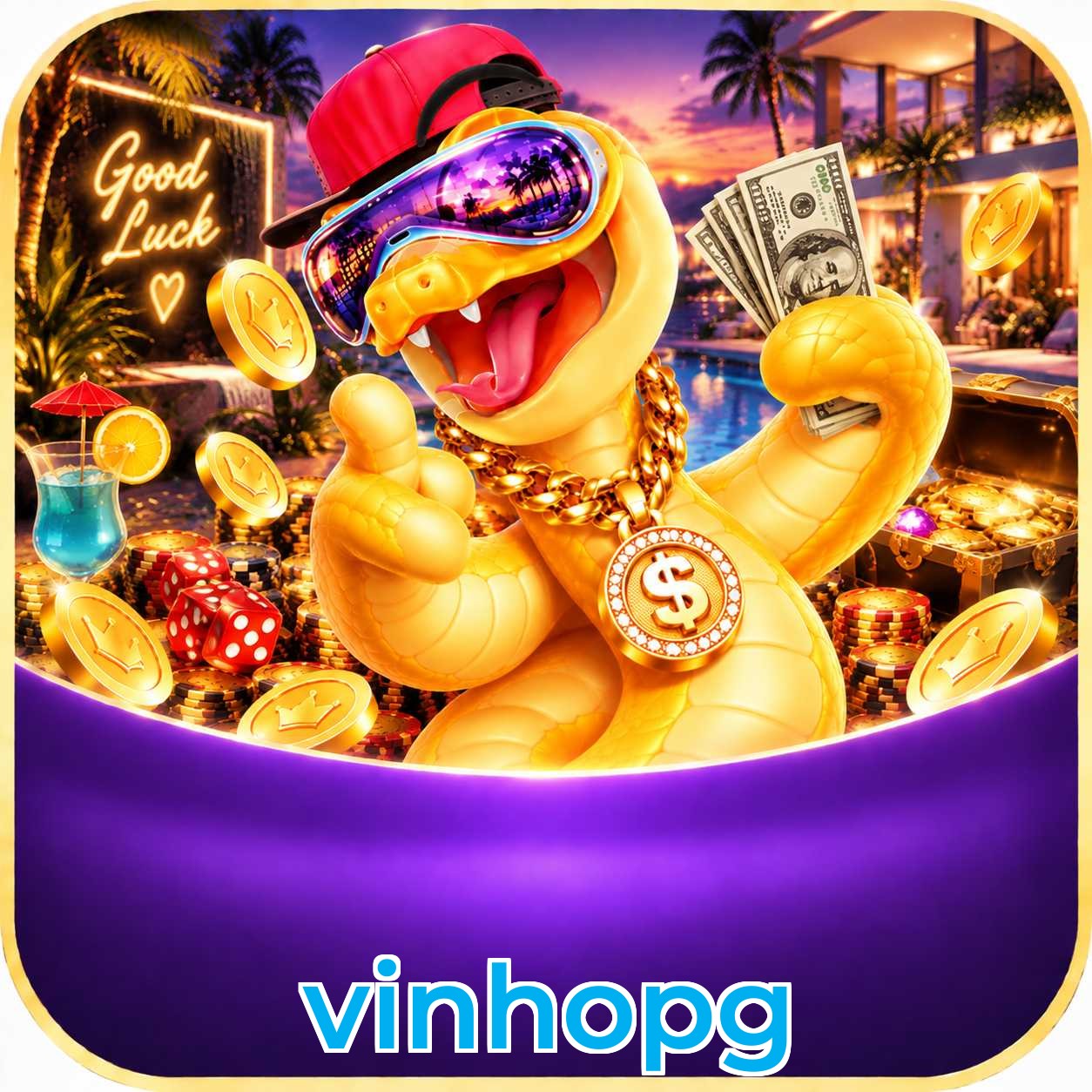 vinhopg App FAQ