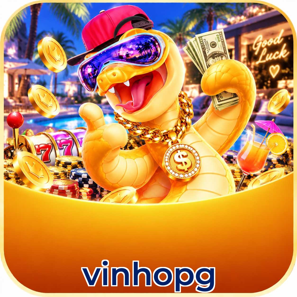 vinhopg Login FAQ