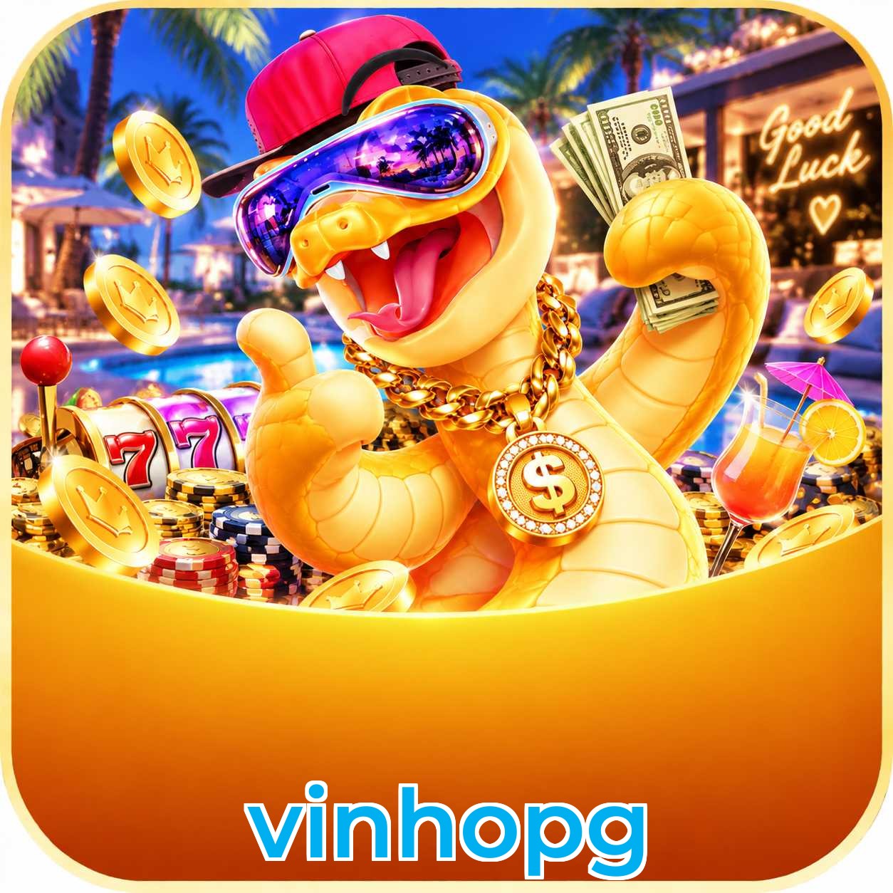 vinhopg Compatibilidade