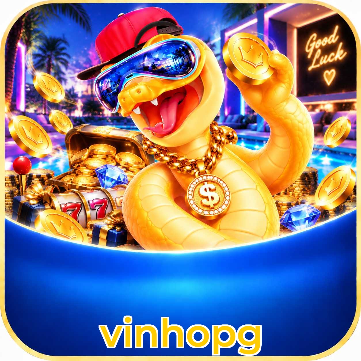 vinhopg Suporte